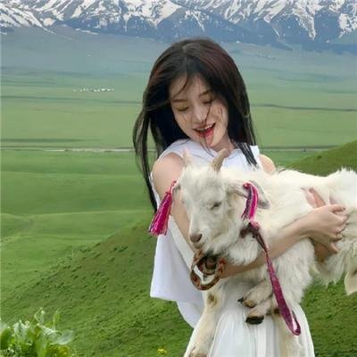 少年鳄鱼队3